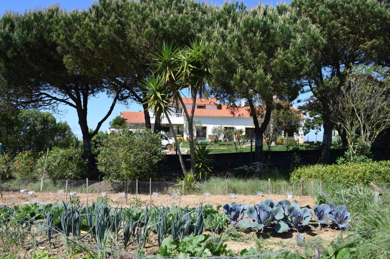 São BernardinoCasa Jardim Peniche住宿加早餐旅馆 外观 照片